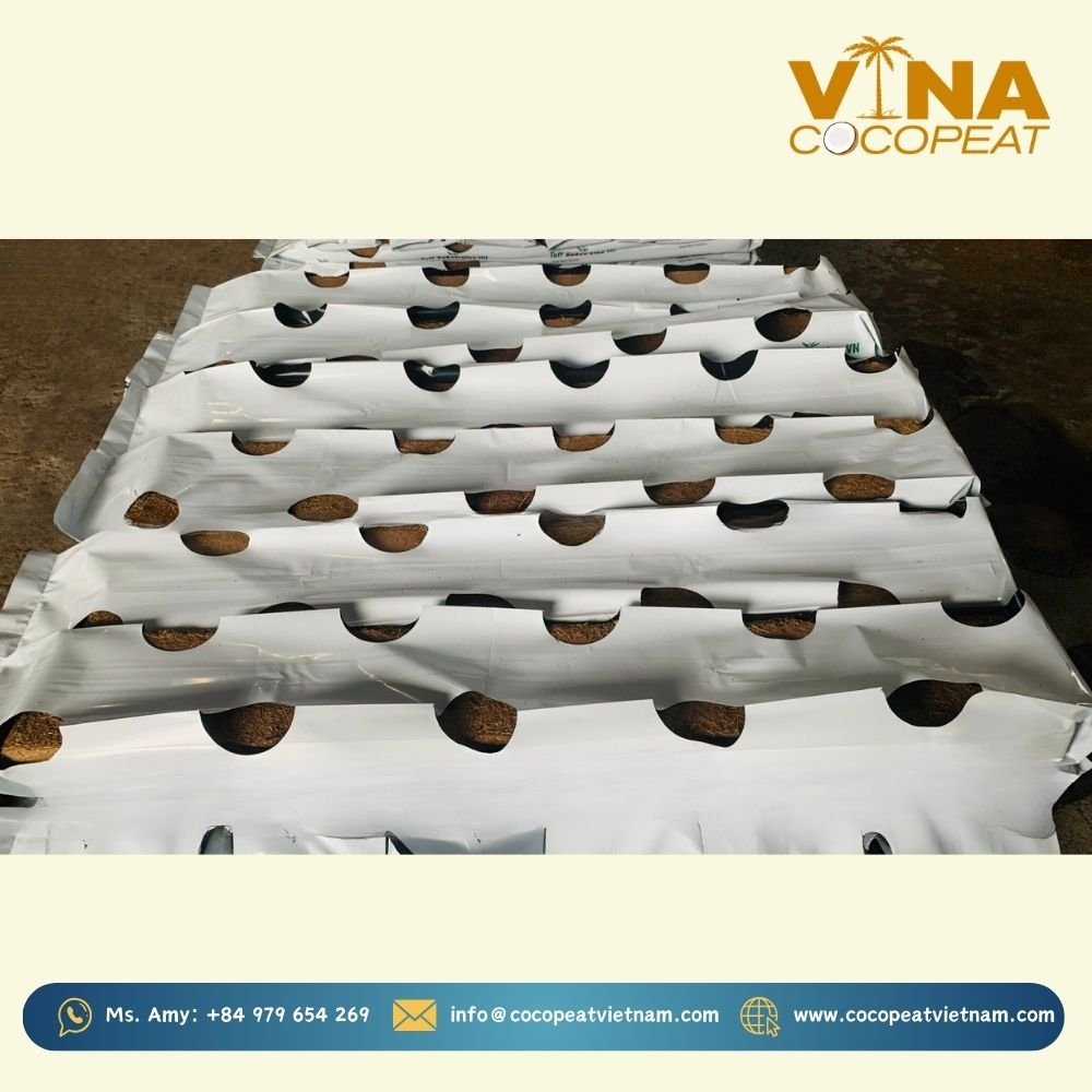 COCO GROW BAG (1)