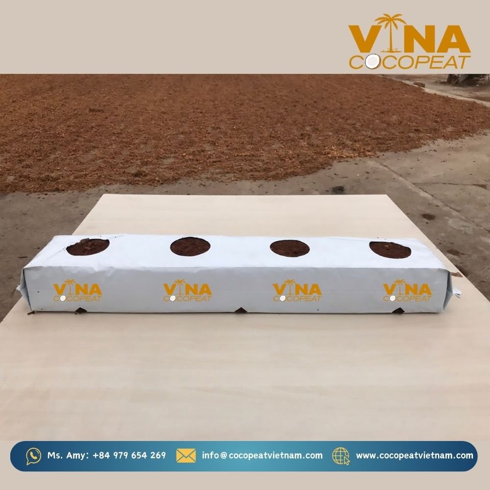 THANH MỤN DỪA ÉP