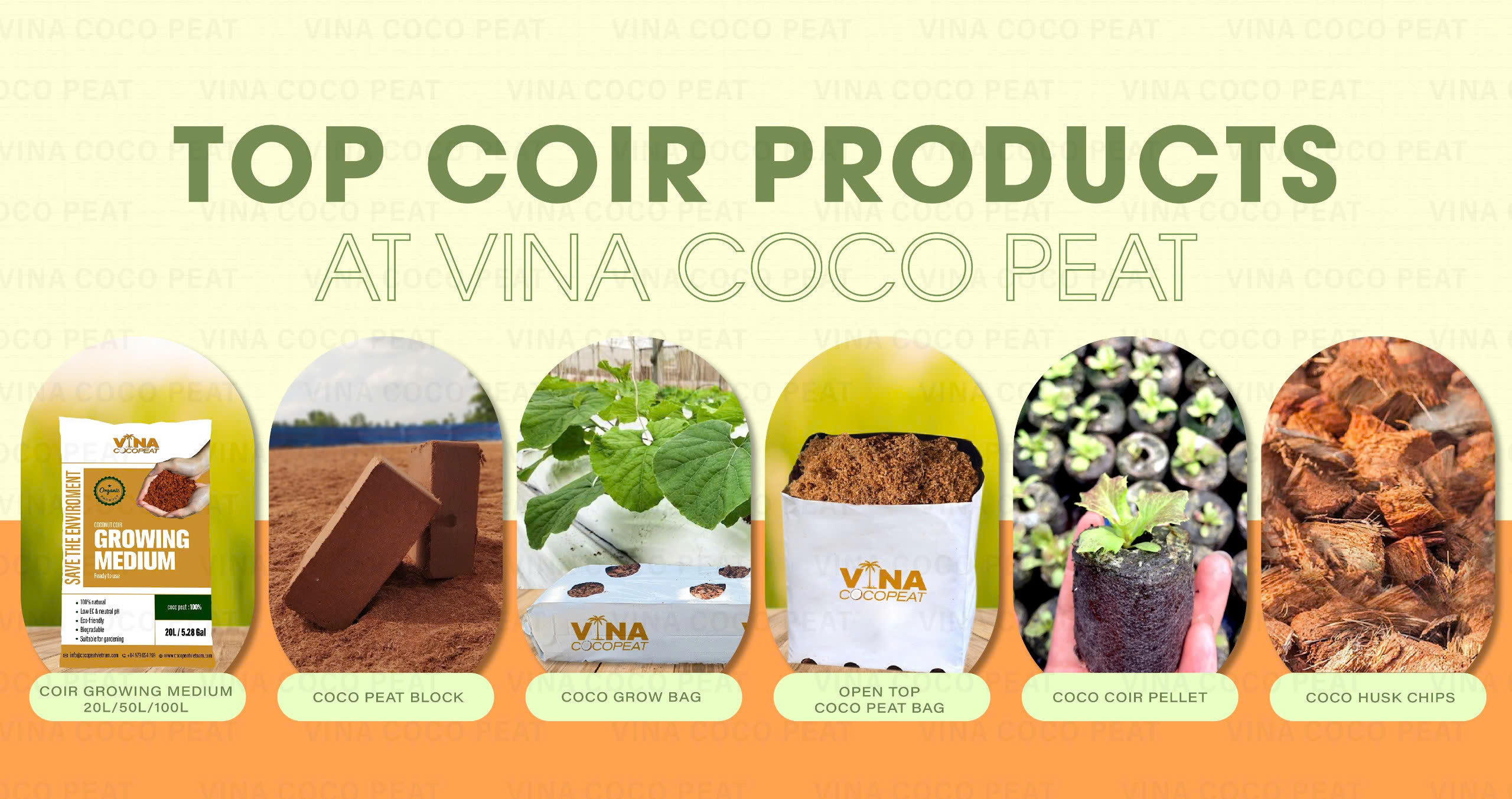 VIET NAM COCO PEAT