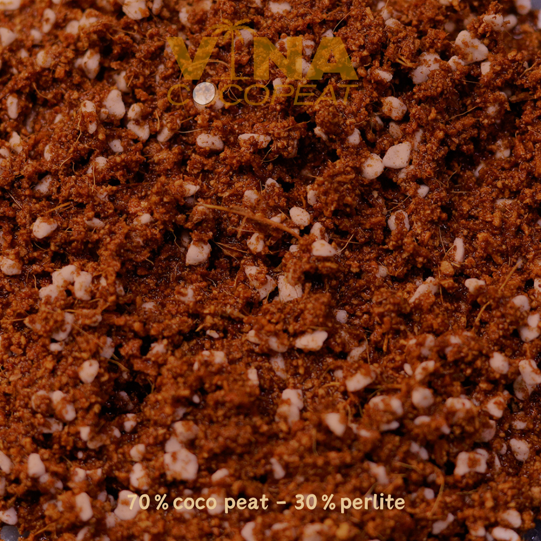 Coco peat Viet Nam (11)