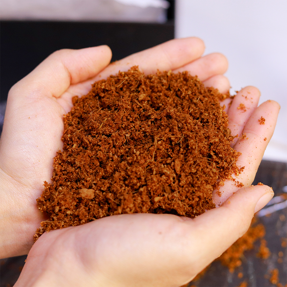 MỤN DỪA ĐÃ XỬ LÝ