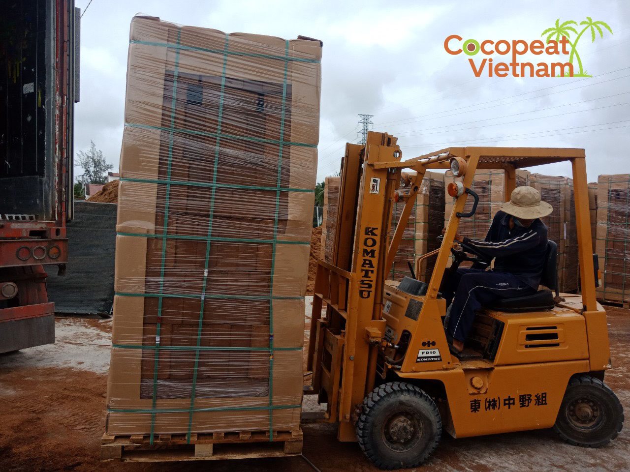 MỤN DỪA ÉP KHỐI 5 KGS