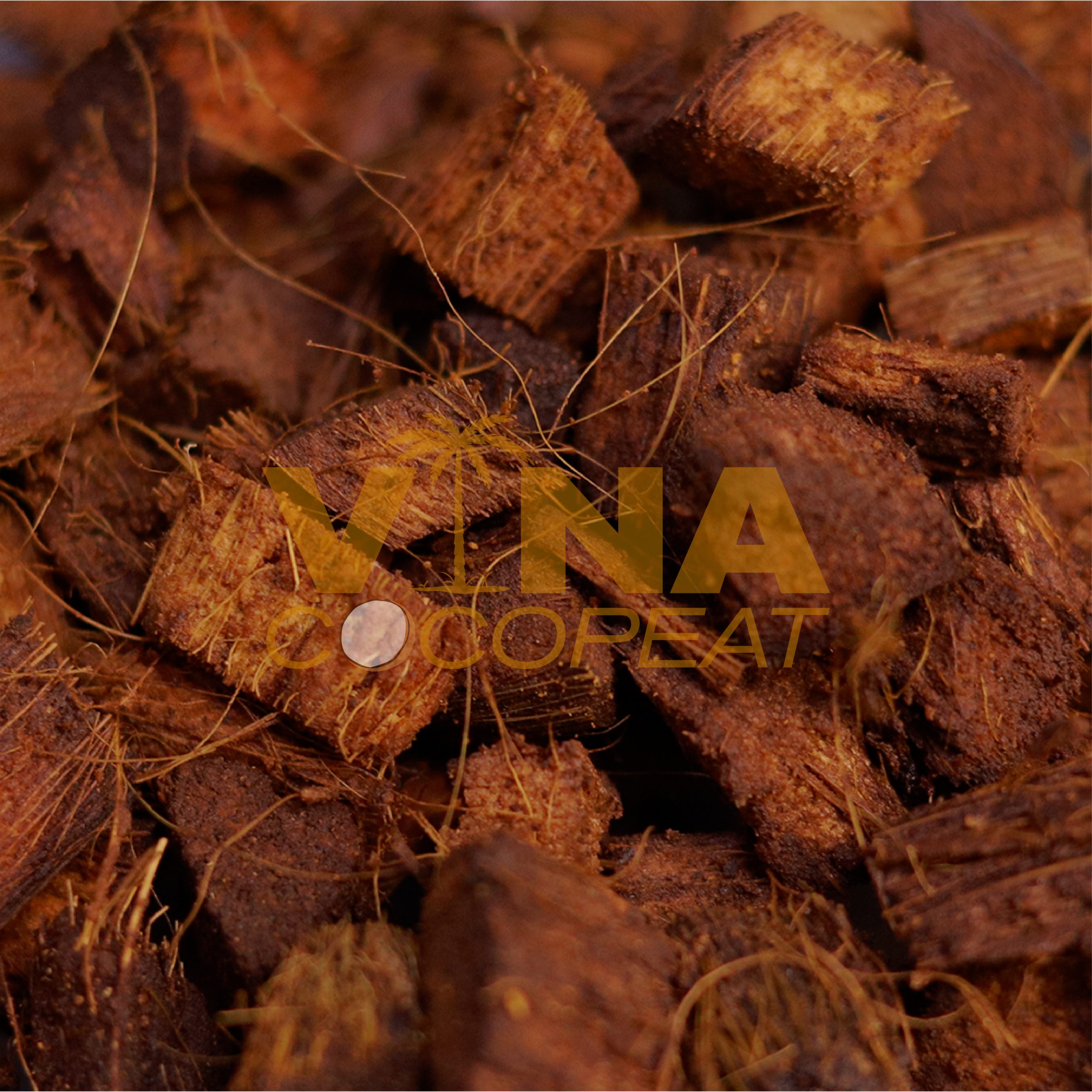 COCO HUSK CHIPS