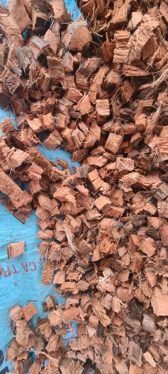 VỎ DỪA CẮT MIẾNG - COCO CHIPS