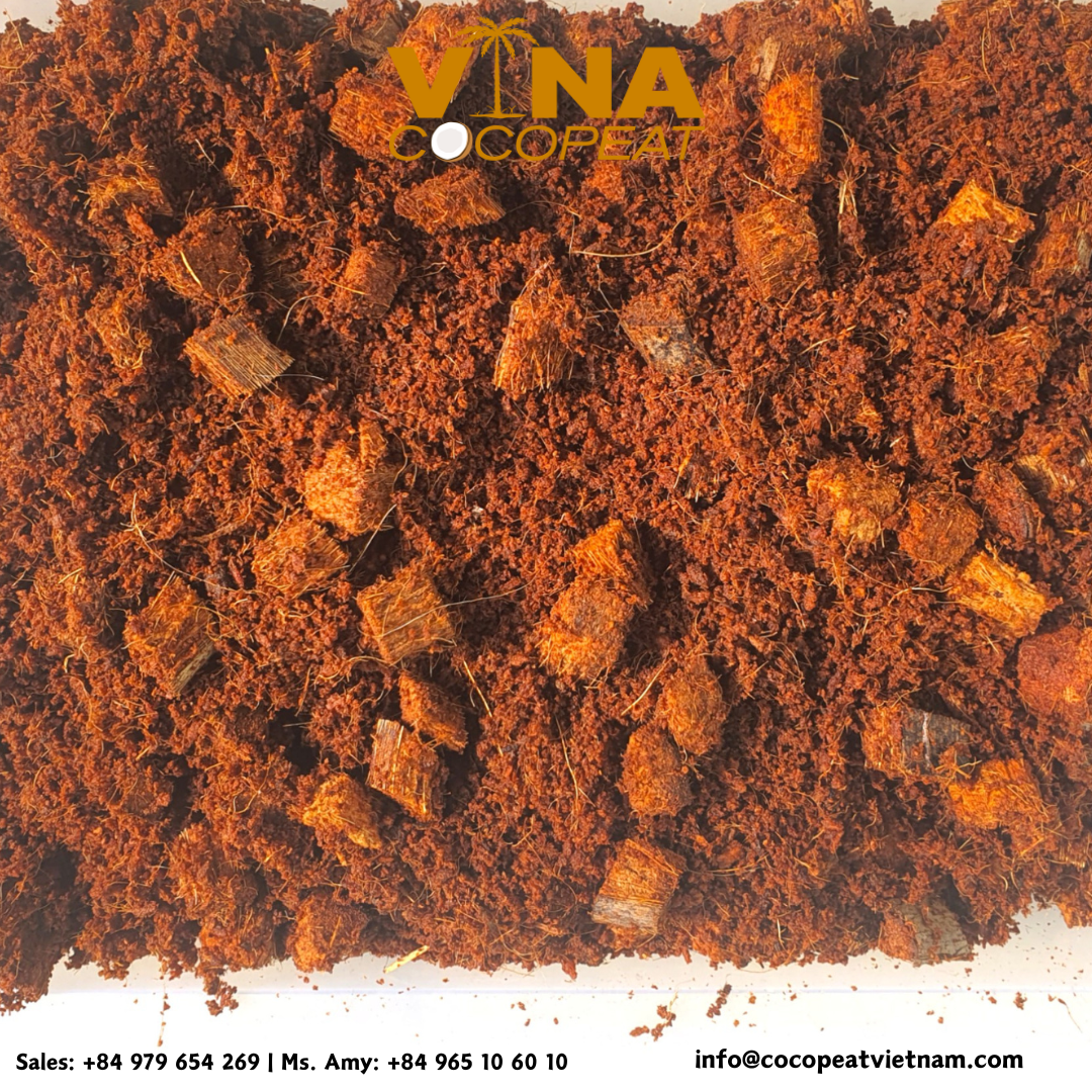 COCO PEAT VIET NAM (1)