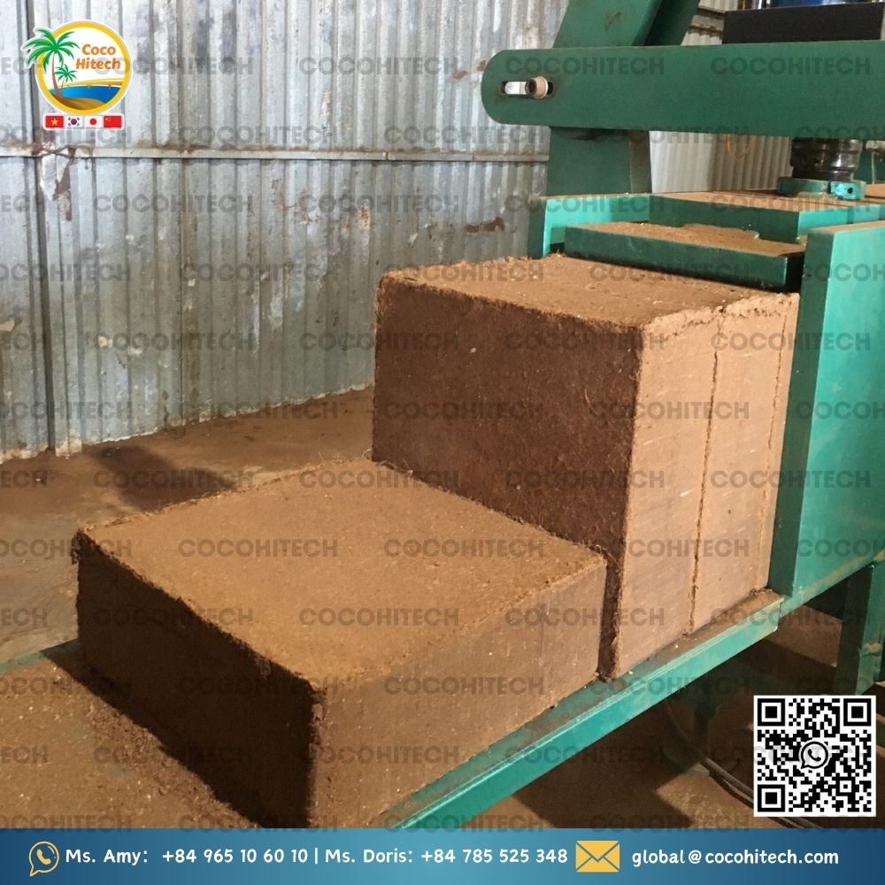 Mụn dừa đã xử lý EC thấp cung cấp số lượng lớn