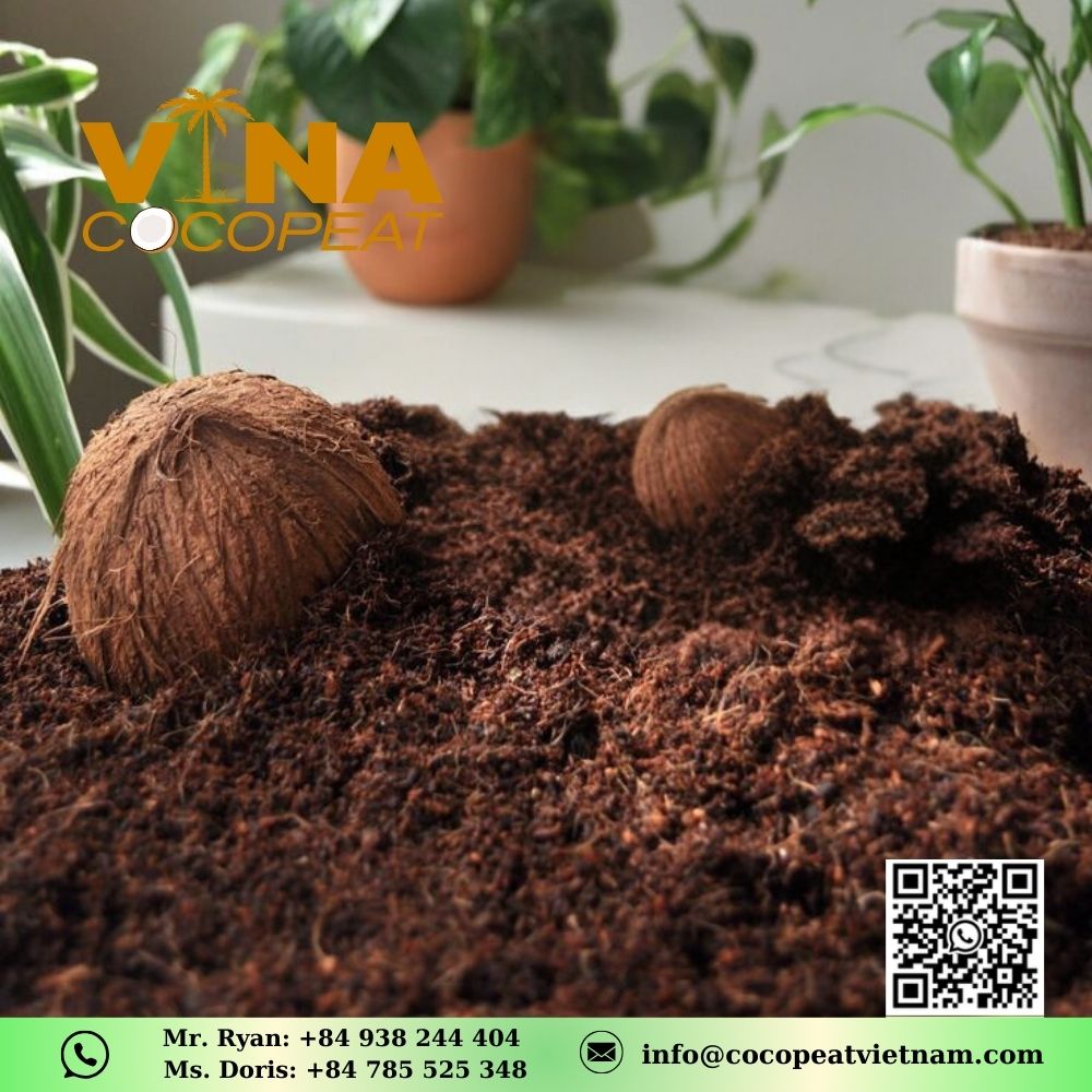 COIR PITH
