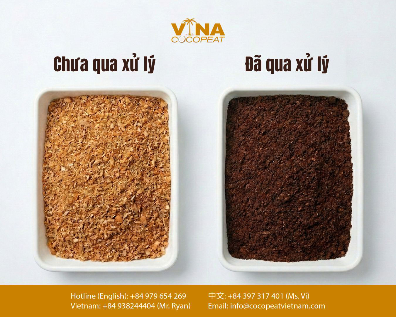 Phân biệt mùn dừa đã xử lý và chưa xử lý