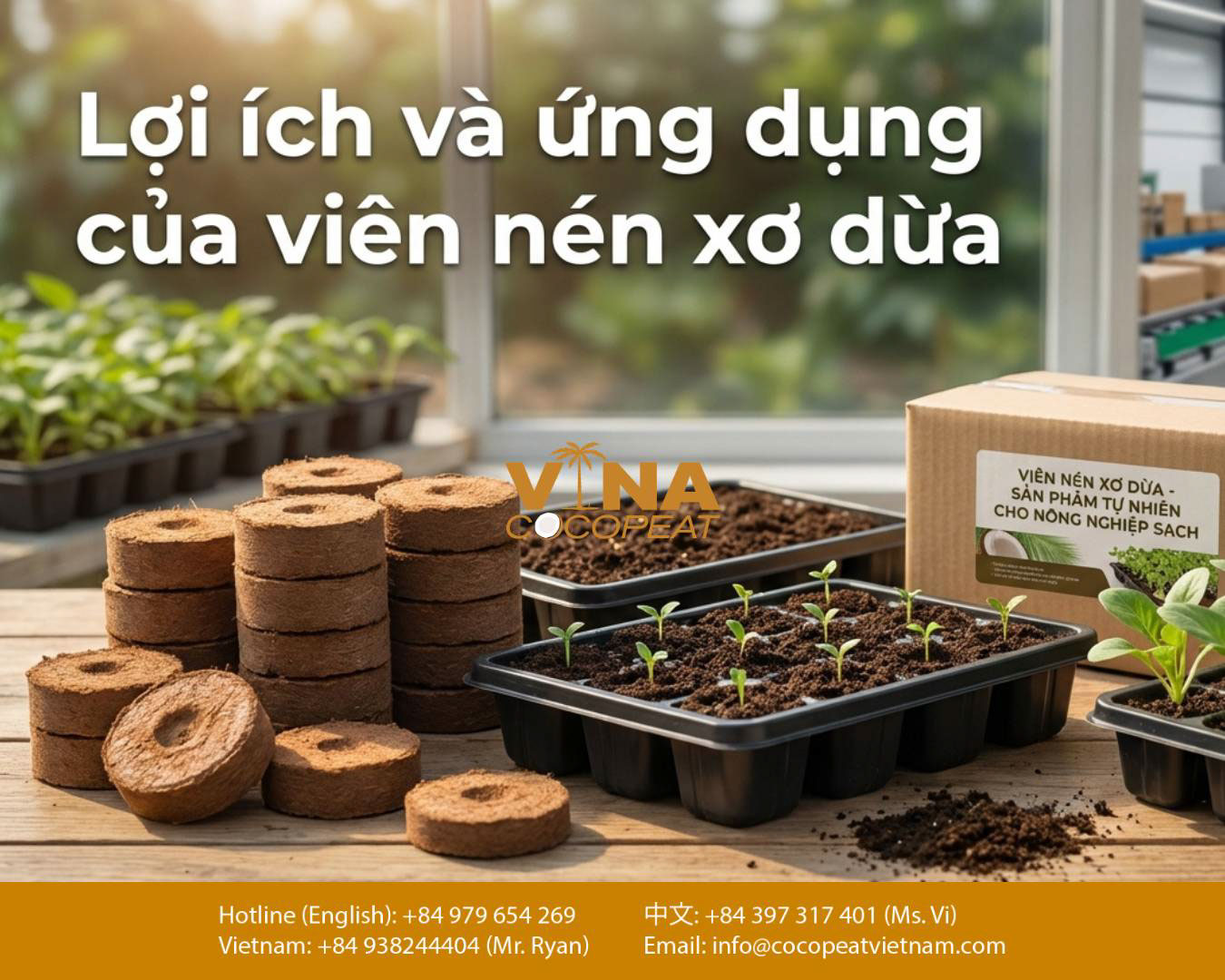 Lợi ích và ứng dụng của viên nén xơ dừa trong ươm cây giống và nông nghiệp sạch