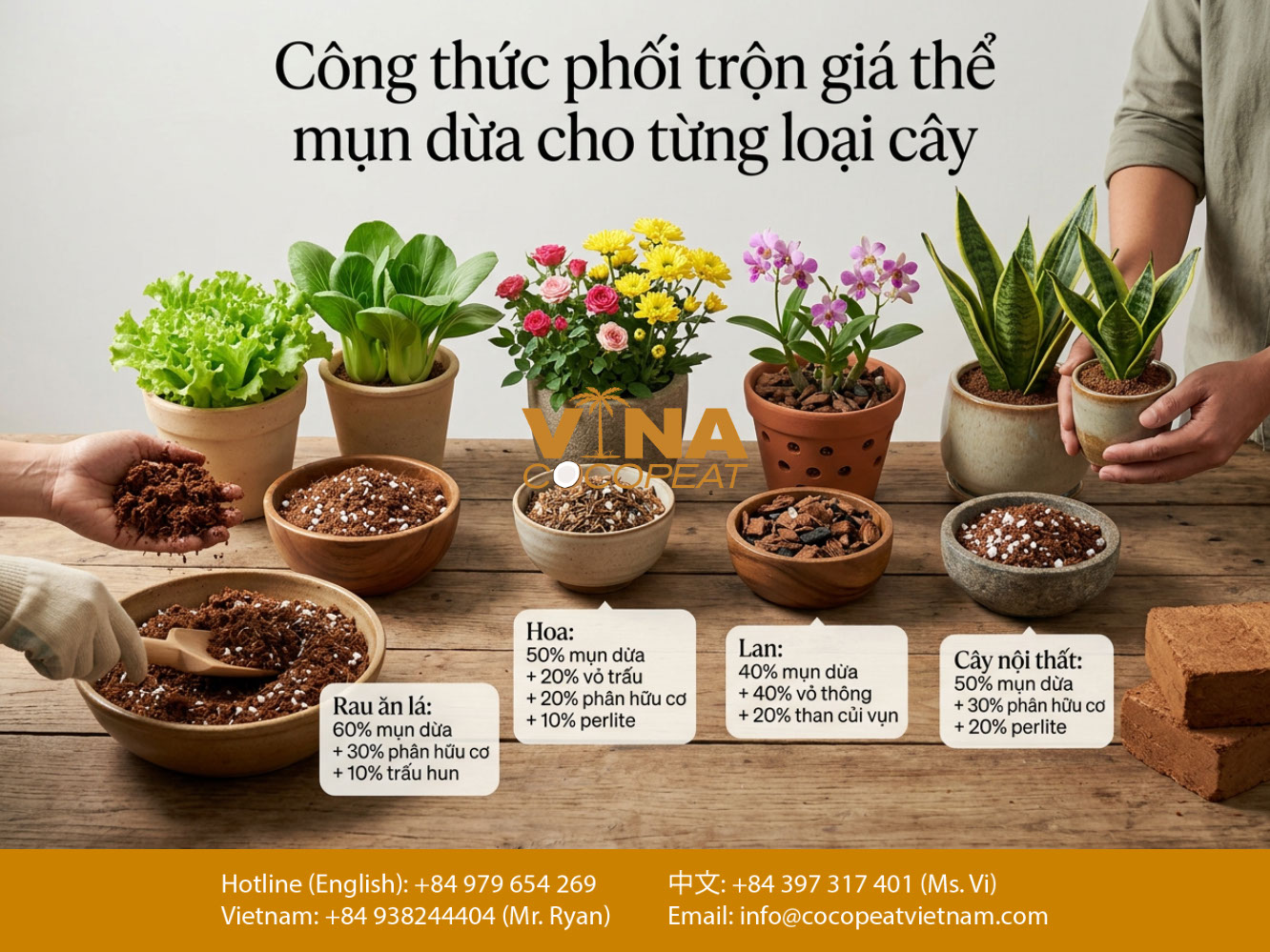 Minh họa tỷ lệ phối trộn giá thể từ mụn dừa cho rau ăn lá, hoa, lan và cây nội thất