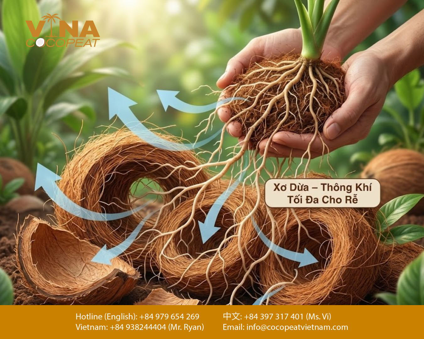 xơ dừa giúp tăng độ thoáng khí cho rễ cây khi dùng làm giá thể trồng cây