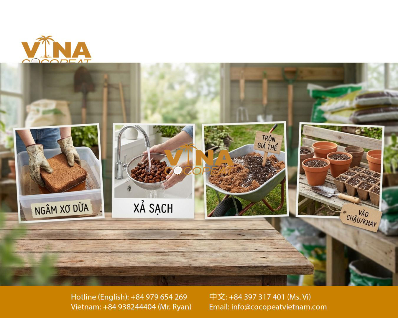 Quy trình xử lý mụn dừa trước khi trồng cây từ ngâm xả sạch đến phối trộn giá thể