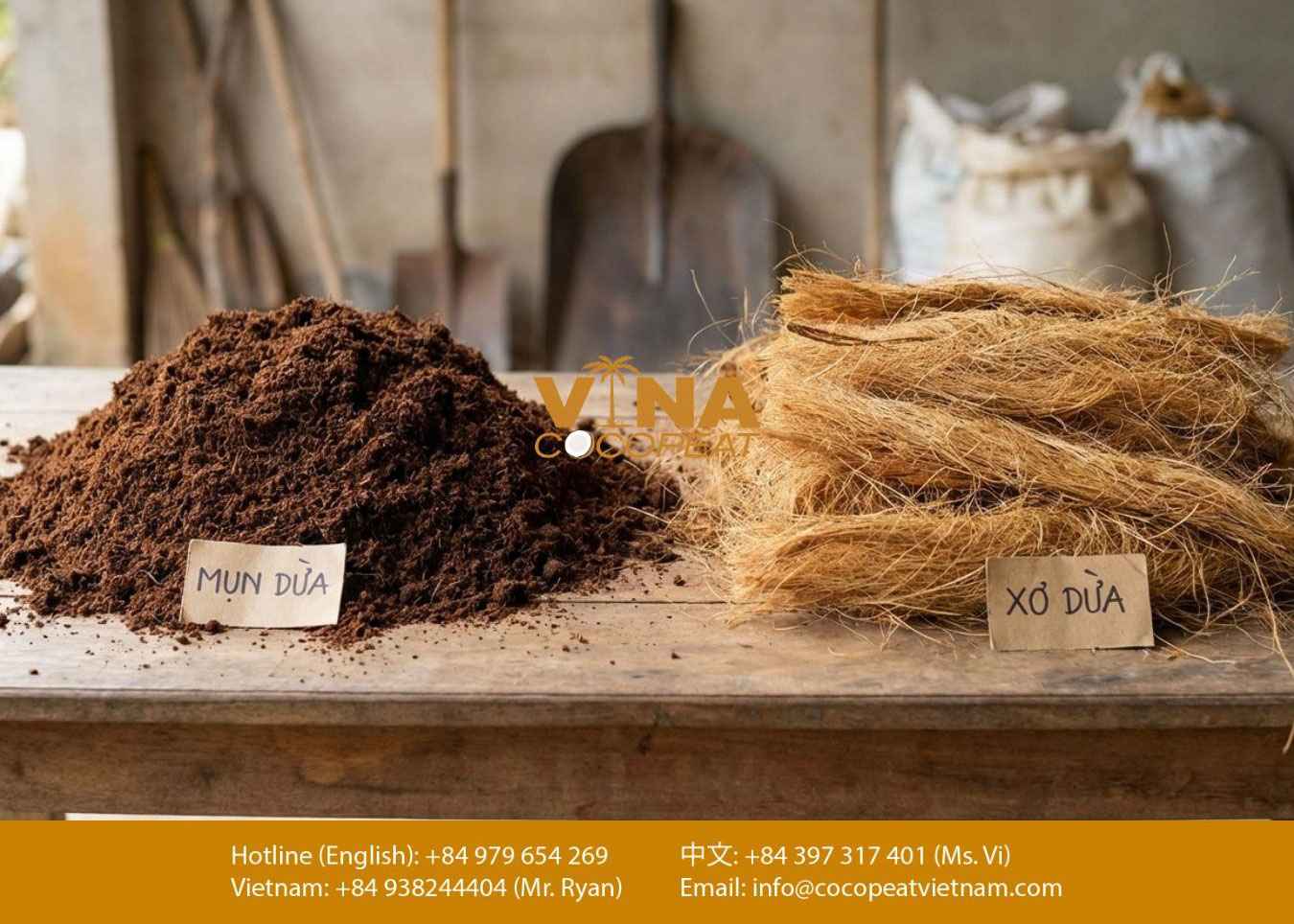 So sánh mụn dừa và xơ dừa dùng làm giá thể trồng cây