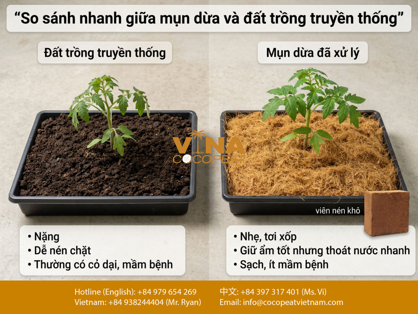 So sánh khả năng giữ ẩm, độ tơi xốp và độ sạch giữa đất trồng truyền thống với mụn dừa đã xử lý
