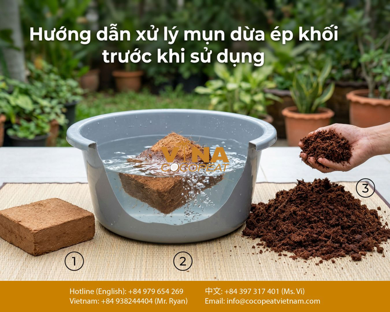 cách xử lý mụn dừa ép khối trước khi trồng cây bằng cách ngâm nước và làm tơi giá thể