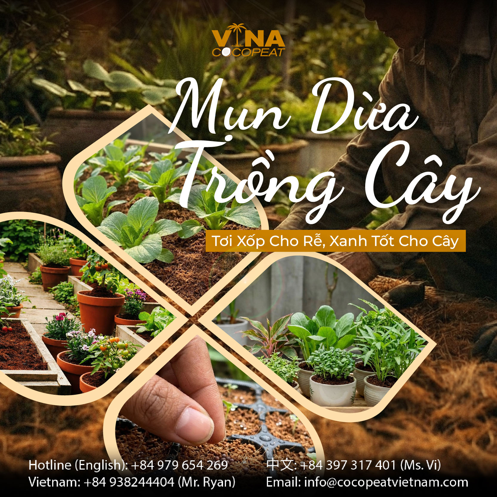 Các loại cây như dâu tây, dưa lưới, rau ăn lá, hoa hồng, lan, cà chua và cây cảnh phát triển tốt trong giá thể mụn dừa