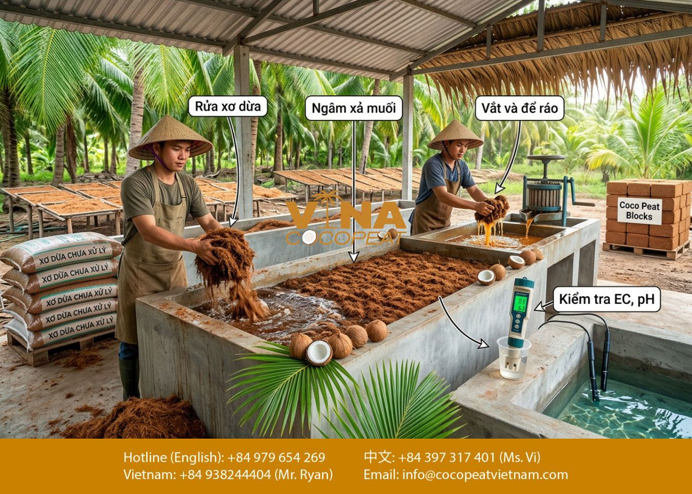 quy trình xử lý xơ dừa trước khi dùng làm giá thể trồng cây