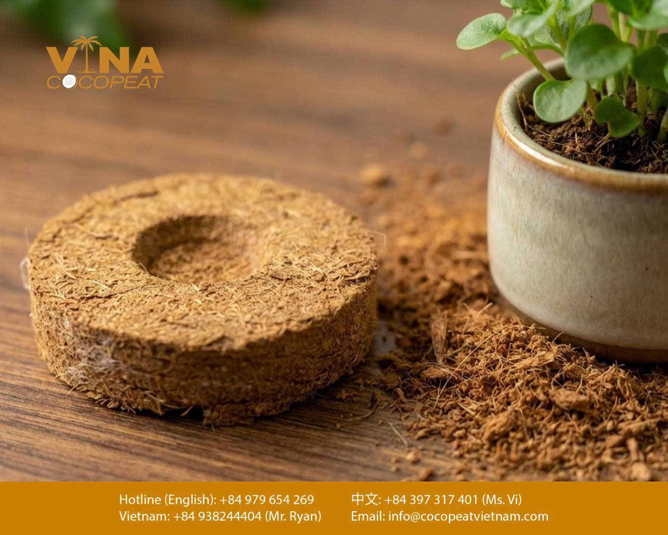 Viên nén xơ dừa dùng làm giá thể trồng cây và ươm hạt giống