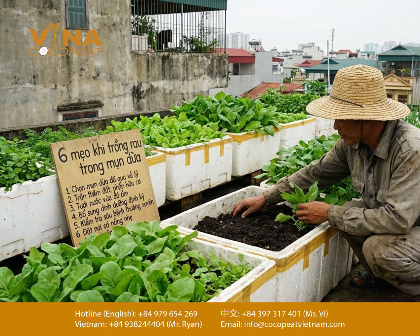 6 lưu ý quan trọng khi trồng rau bằng mụn dừa trong thùng xốp tại sân thượng