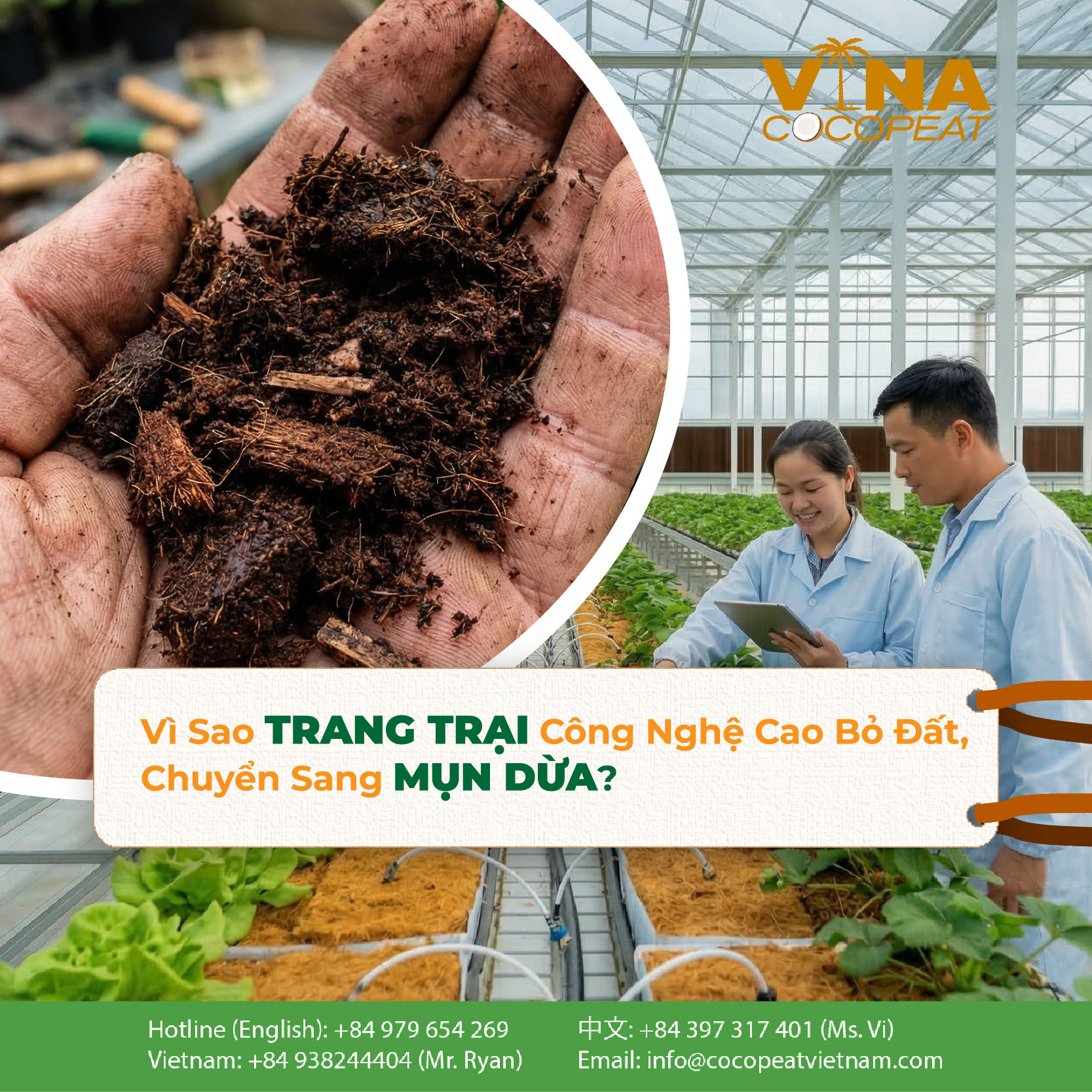 Trang trại công nghệ cao sử dụng mụn dừa đã xử lý làm giá thể trồng rau trong nhà kính