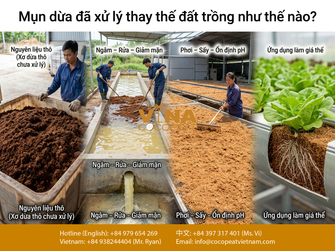 Quy trình xử lý mụn dừa từ nguyên liệu thô đến giá thể sạch dùng thay đất trồng cho rau