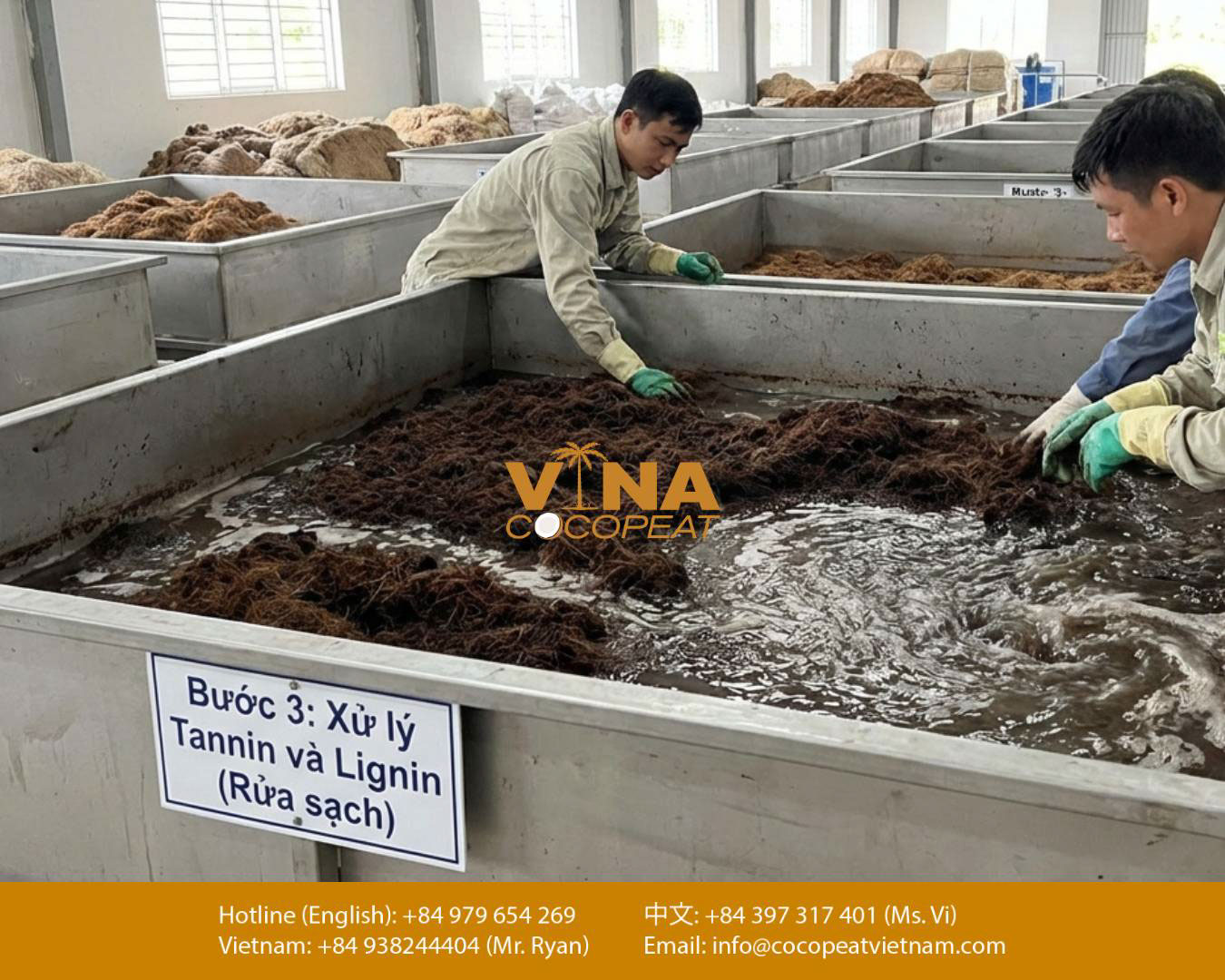 Xử lý Tanin và Lignin trong mụn dừa ở bước 3 của quy trình sản xuất viên nén xơ dừa