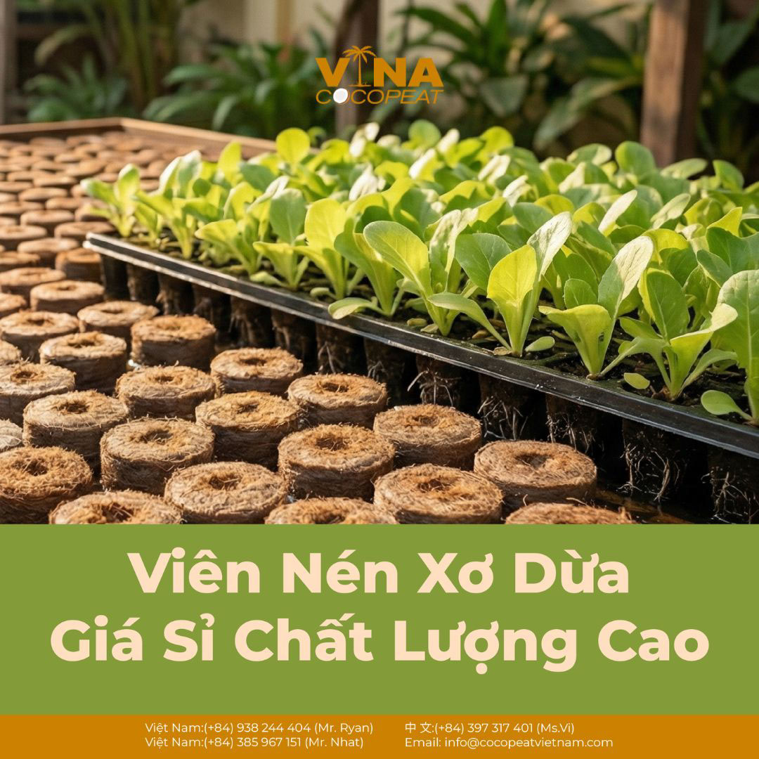 Viên nén xơ dừa giá sỉ chất lượng cao dùng ươm cây con trong khay trồng