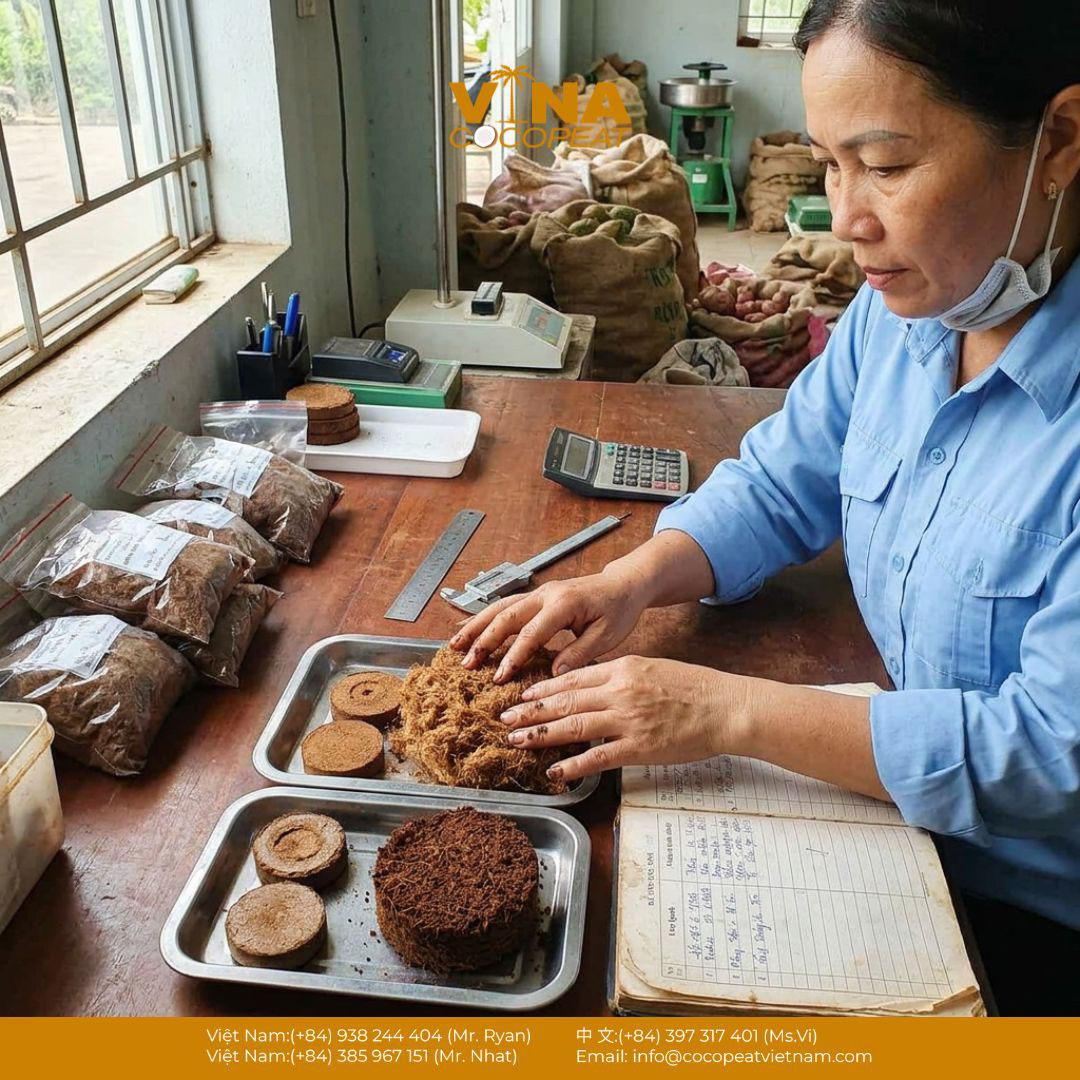 Kiểm tra mẫu viên nén xơ dừa chất lượng cao và xơ dừa sau xử lý tại Vinacocopeat