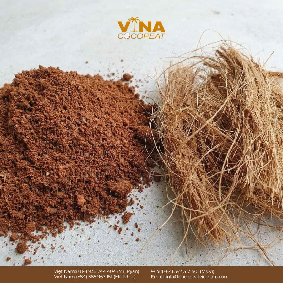 Phân biệt mụn dừa và chỉ xơ dừa dùng làm giá thể trồng cây