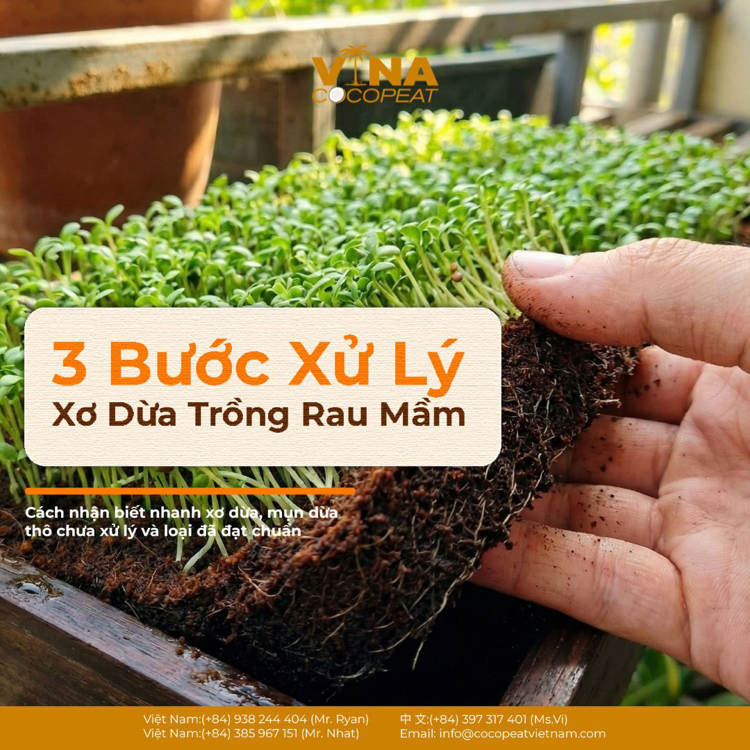 Vì ảnh có chữ phủ sẵn, alt vẫn nên ưu tiên mô tả nội dung chính của ảnh, không cần chép nguyên toàn bộ chữ trên ảnh.