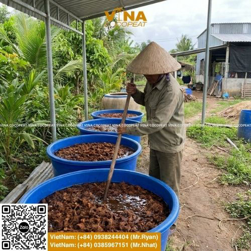 Cách xử lý mụn xơ dừa trước khi trồng cây bằng phương pháp ngâm xả chát