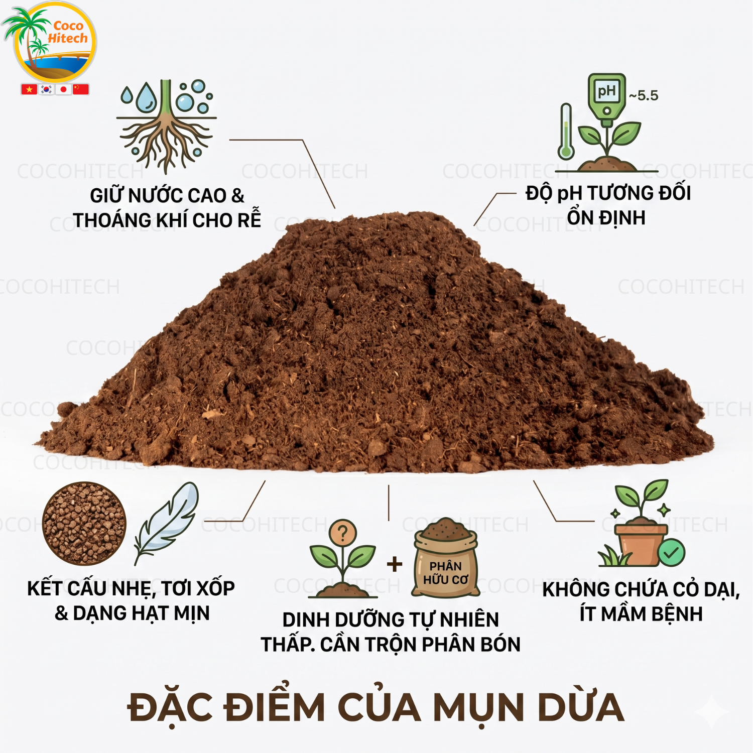 Đặc điểm của mụn dừa
