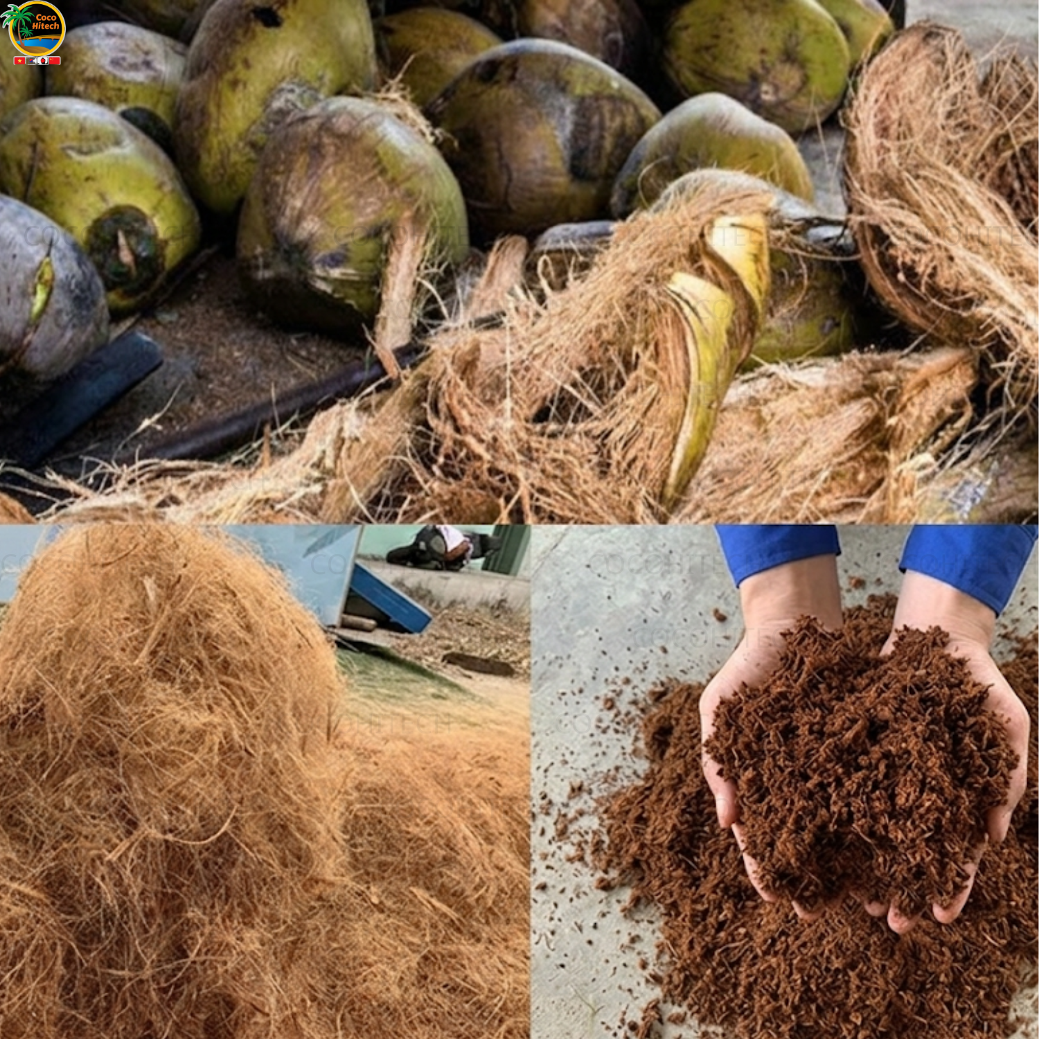 Xơ dừa và mụn dừa