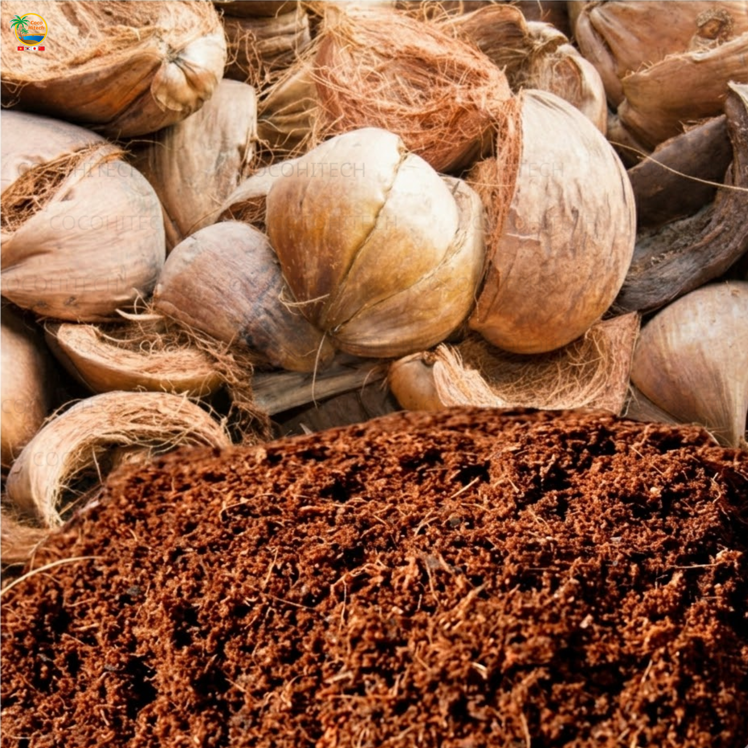mụn dừa từ vỏ dừa khô