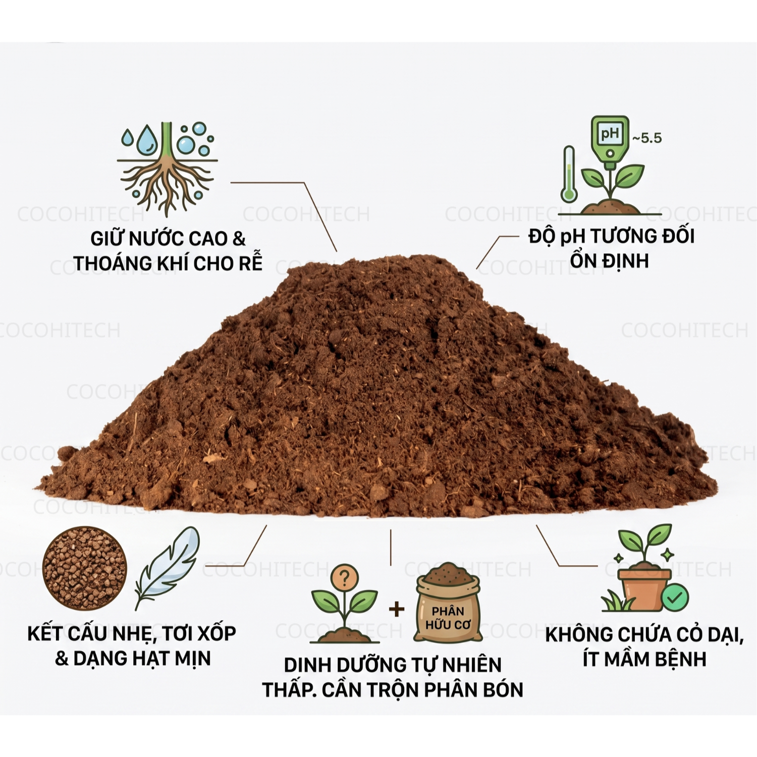 Đặc điểm của mụn dừa