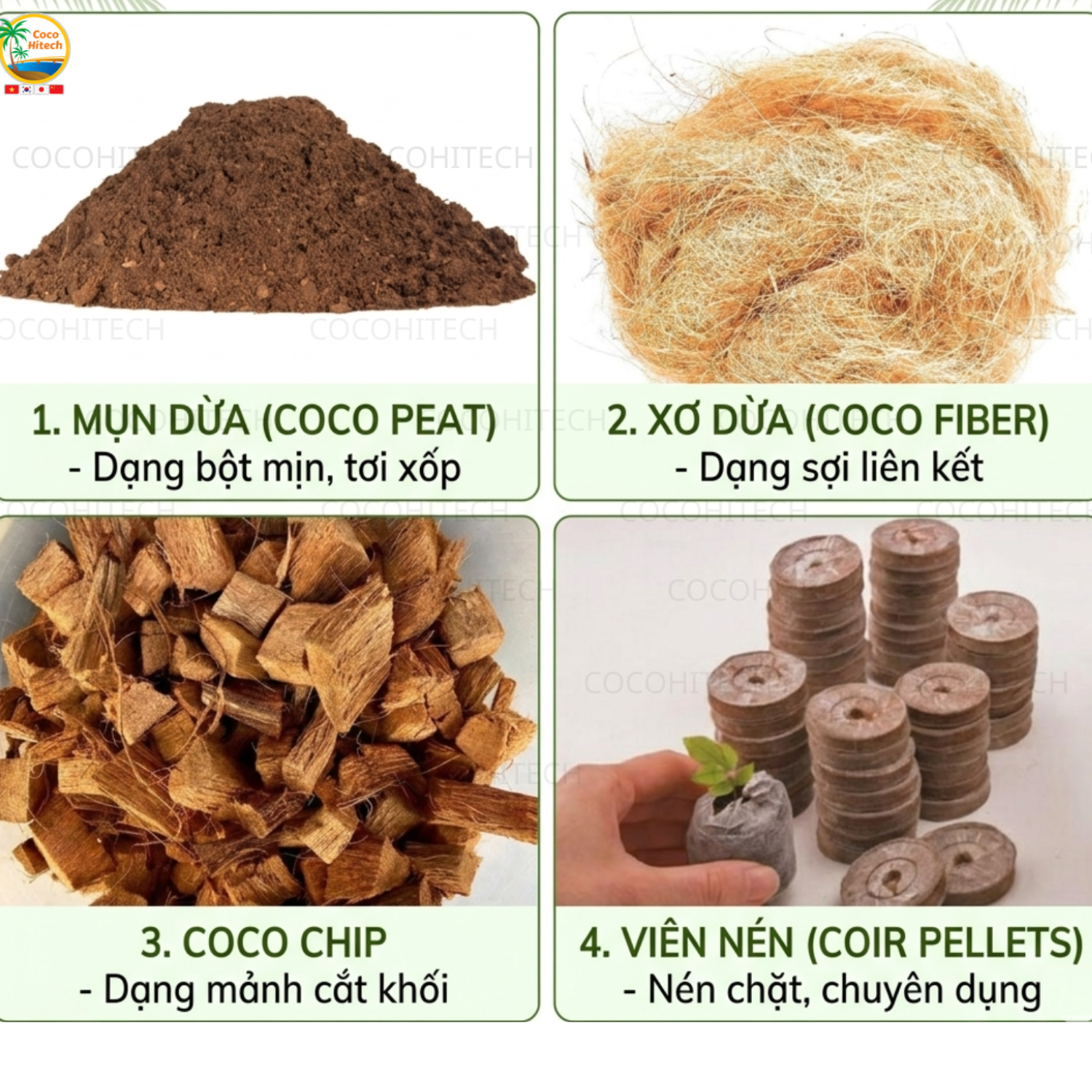 Các Loại Đất Xơ Dừa Phổ Biến Hiện Nay