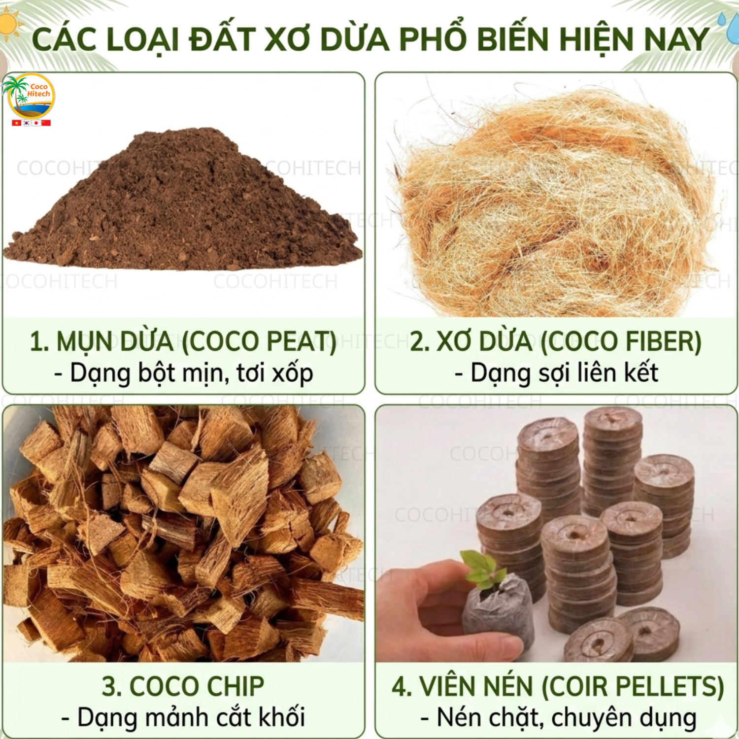 Hiểu Về Đất Xơ Dừa – Loại Đất Phổ Biến Để Trồng Cây Hiện Nay!