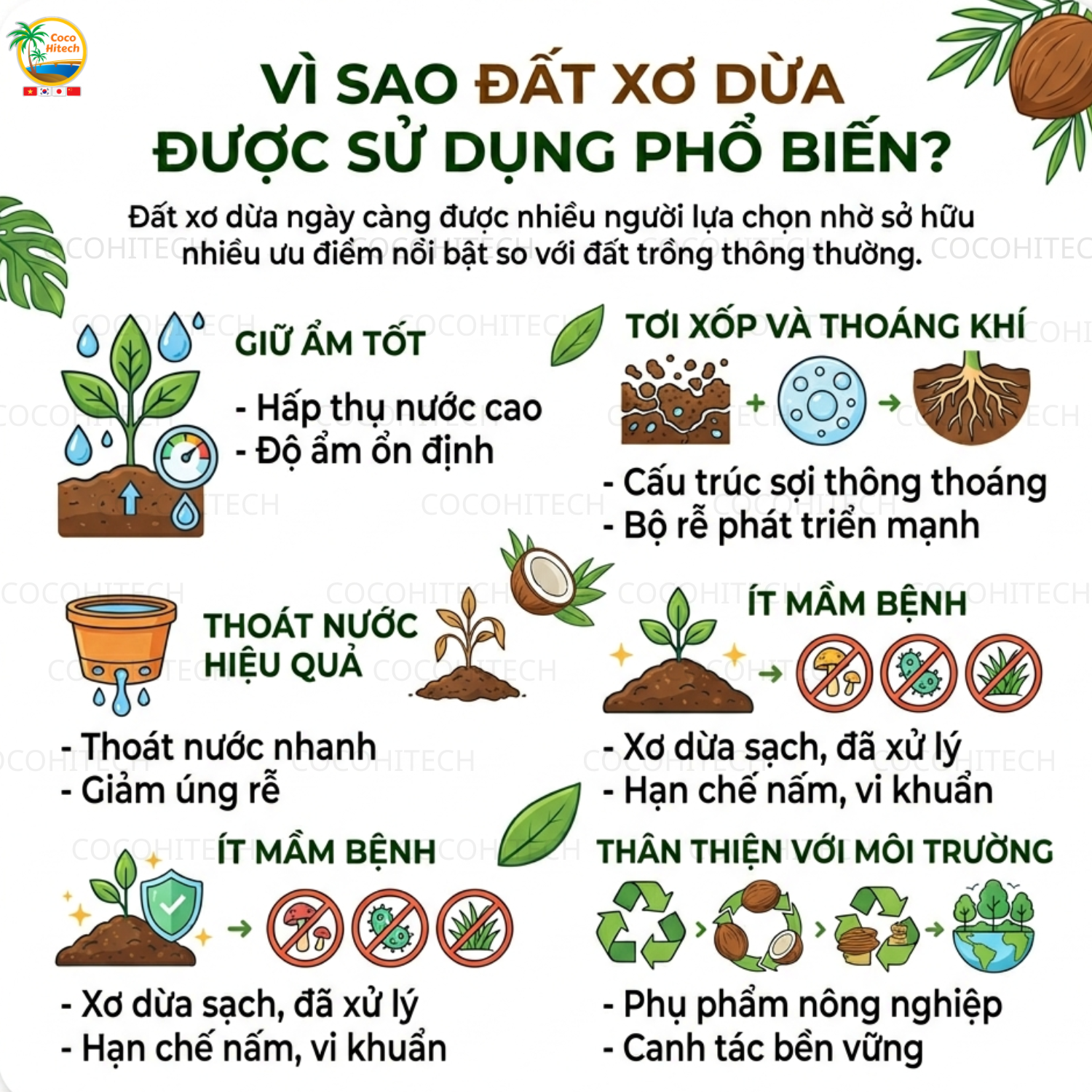 Vì Sao Đất Xơ Dừa Được Sử Dụng Phổ Biến?