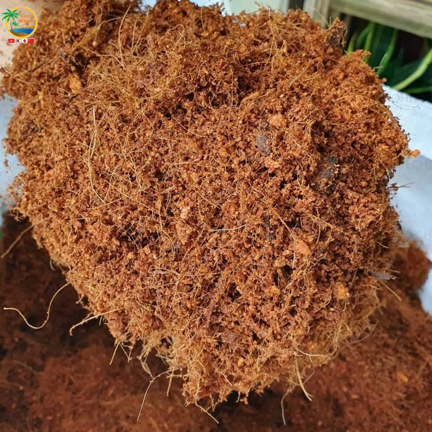 Đất Xơ Dừa