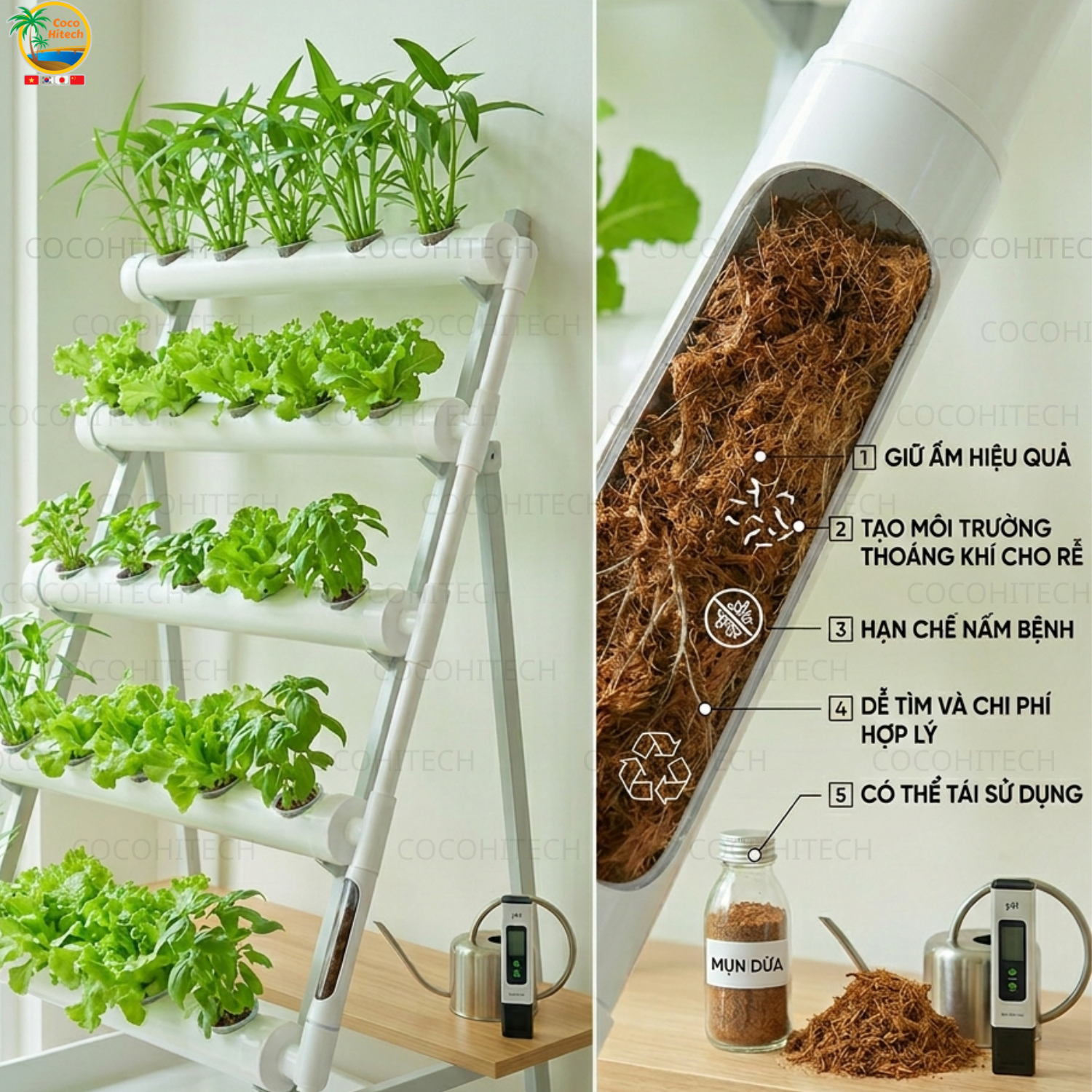 Trồng Rau Thủy Canh Bằng Mụn Dừa Là Gì?