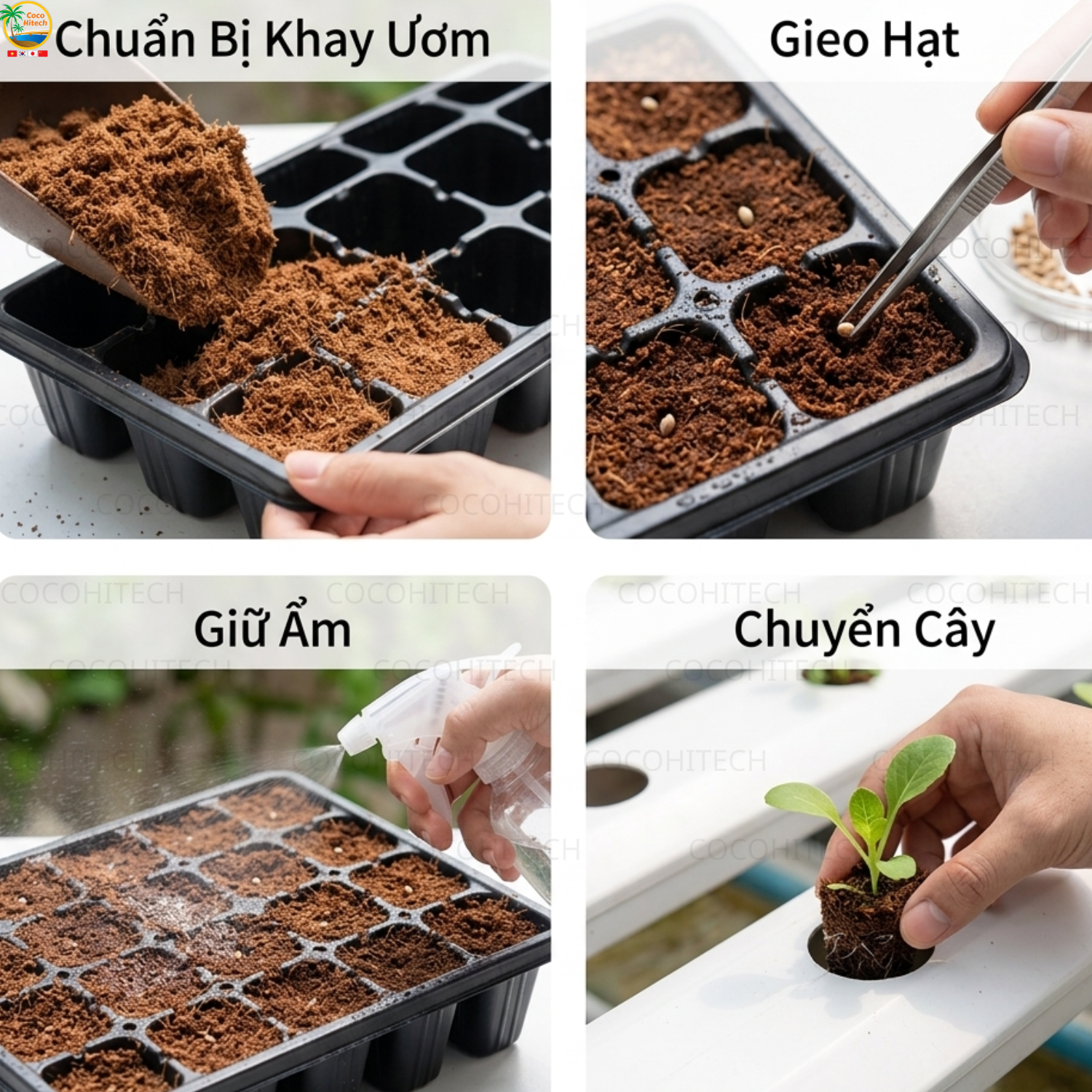 Hướng Dẫn Ươm Hạt Bằng Mụn Dừa