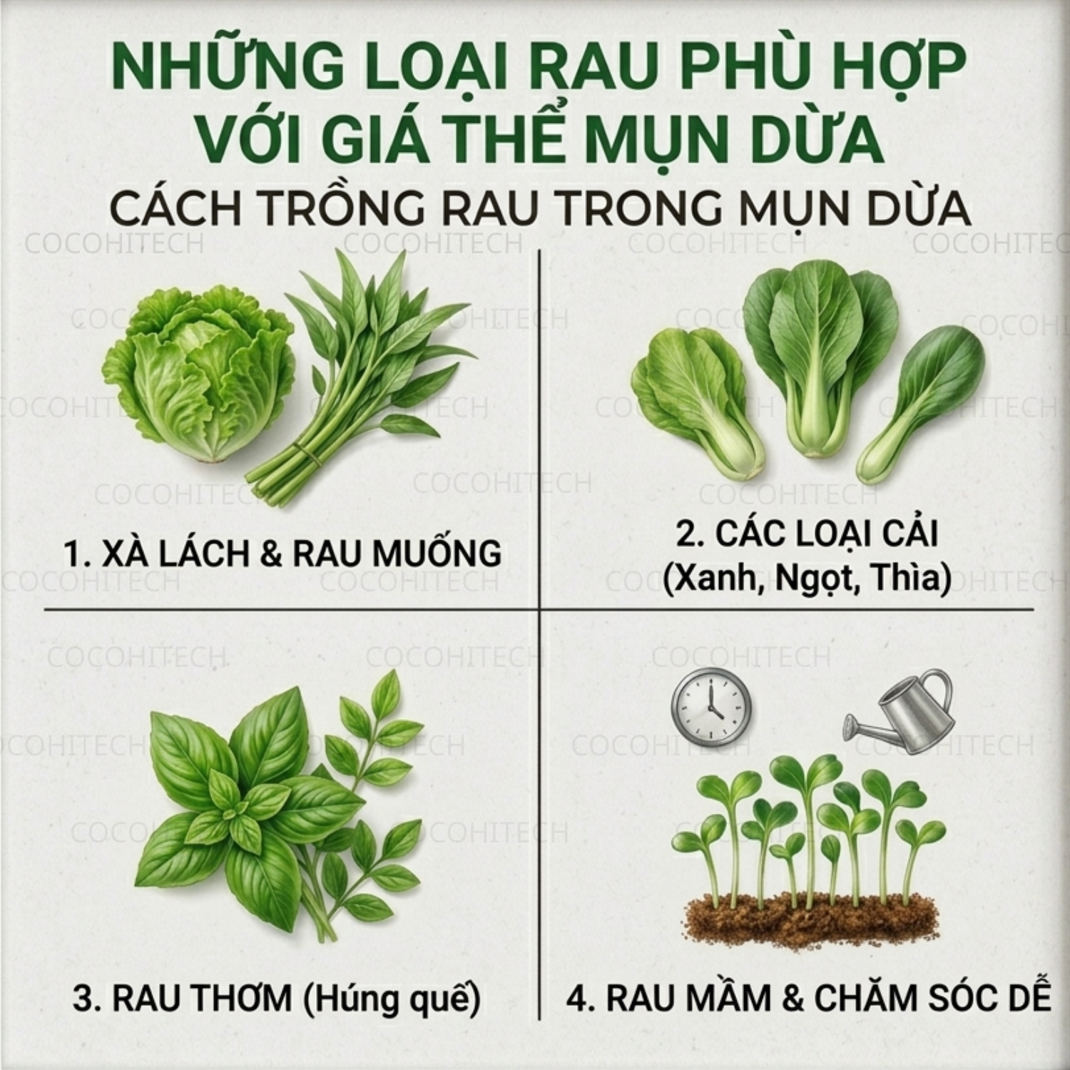 Những Loại Rau Phù Hợp Với Giá Thể Mụn Dừa