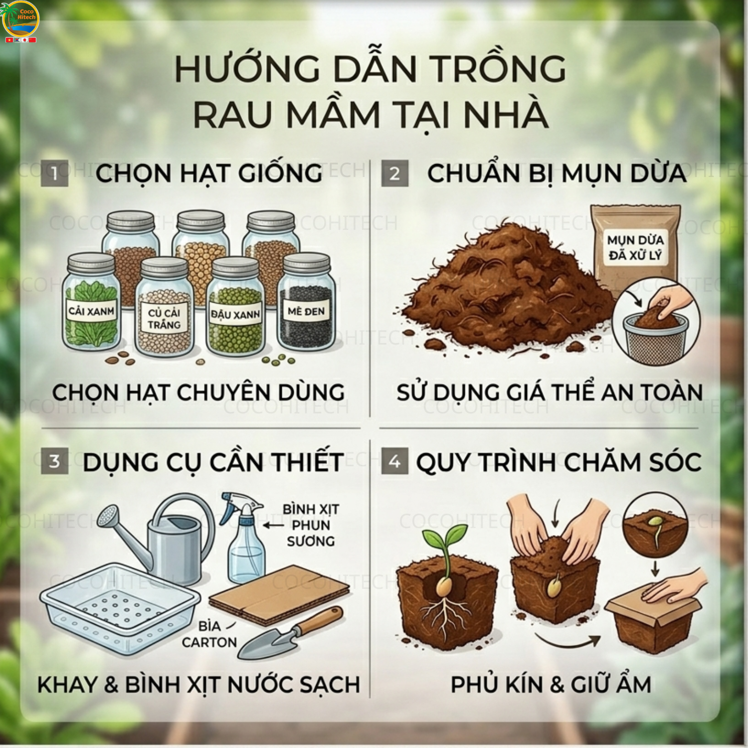 Chuẩn Bị Trước Khi Trồng Rau Mầm