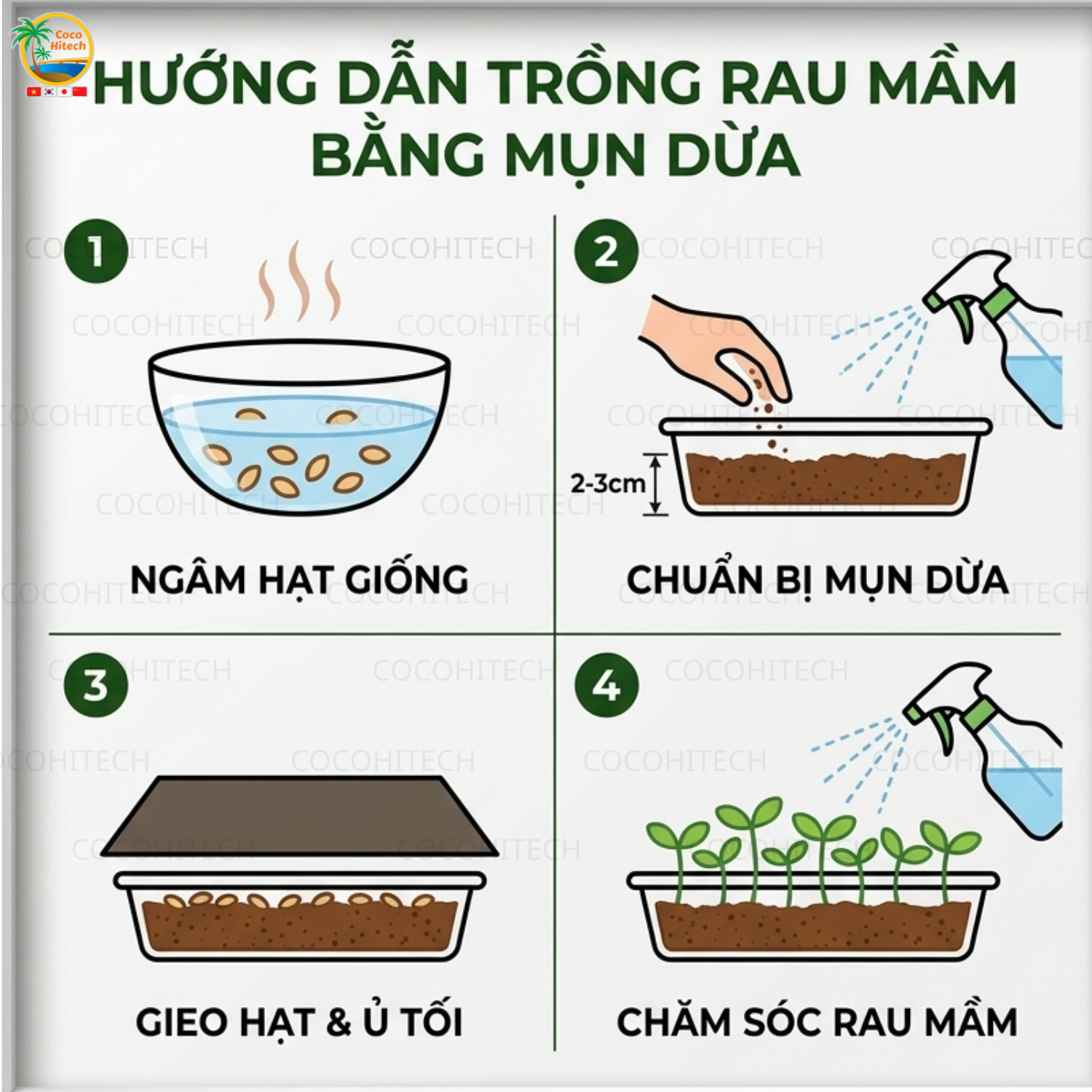 Cách Trồng Rau Mầm Bằng Mụn Dừa