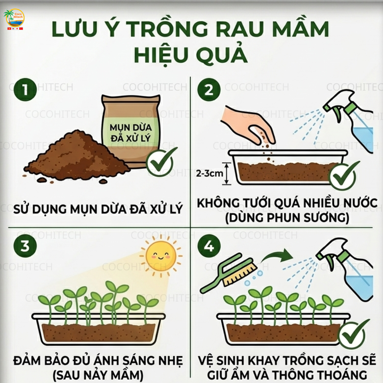 Những Lưu Ý Khi Trồng Rau Mầm Bằng Mụn Dừa