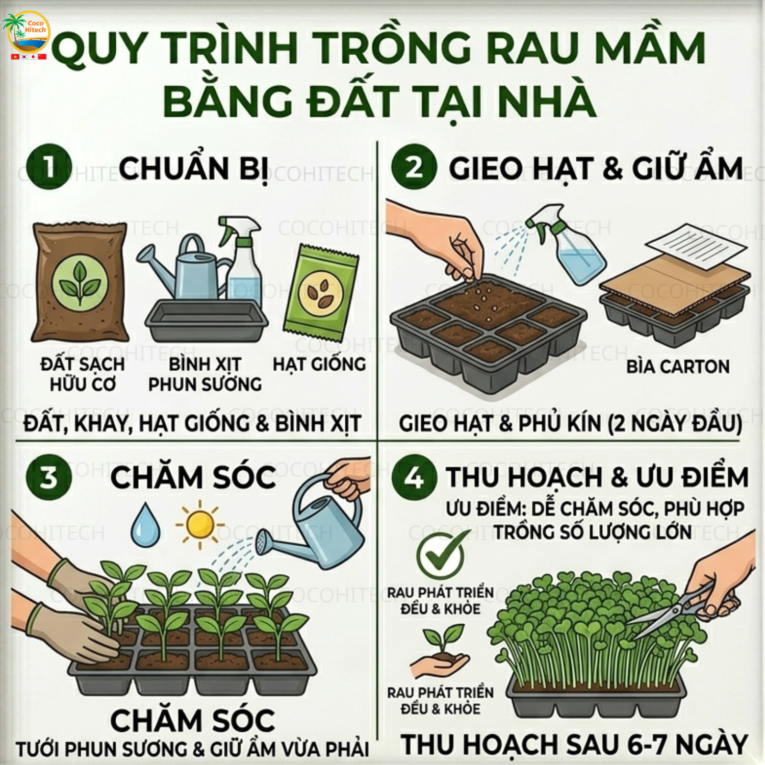 Cách trồng rau mầm bằng đất sạch