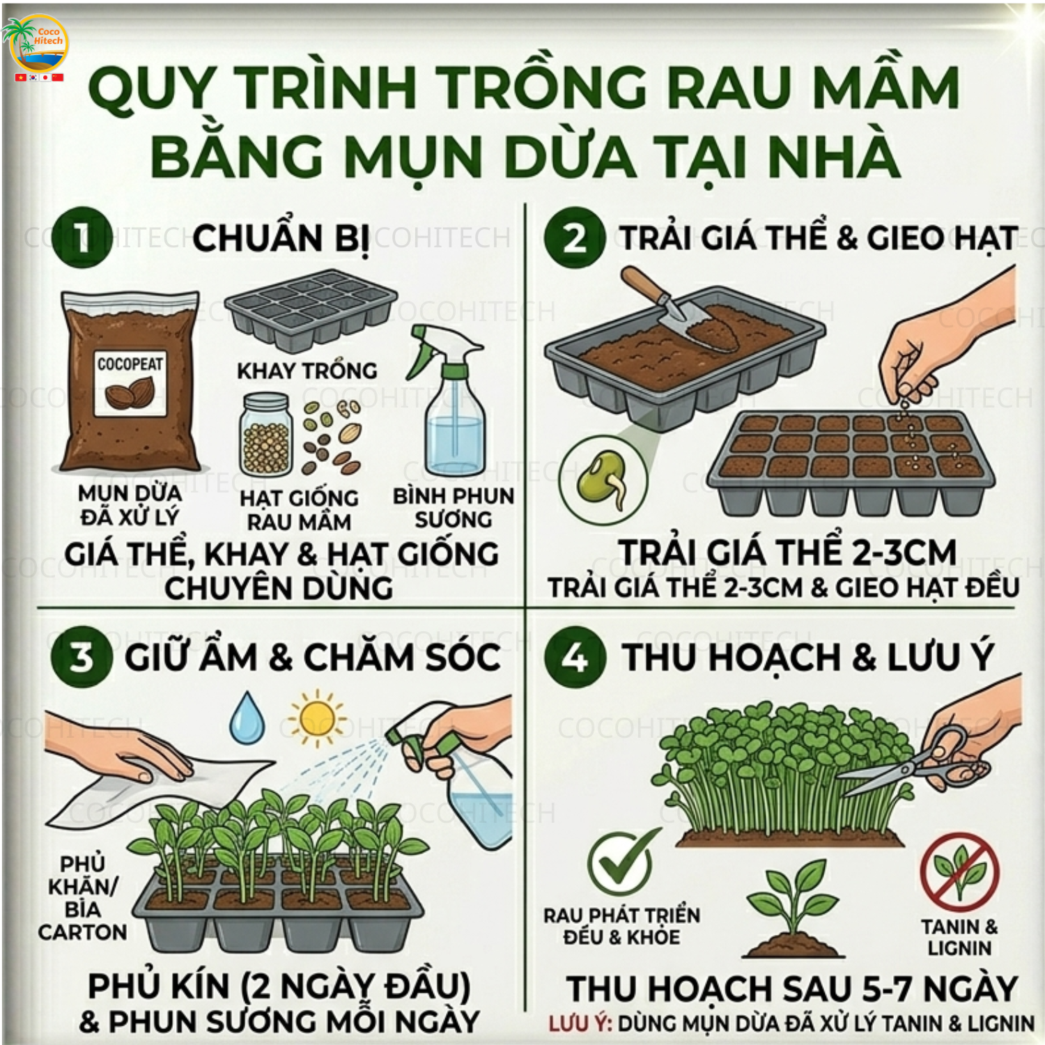 Cách trồng rau mầm bằng xơ dừa