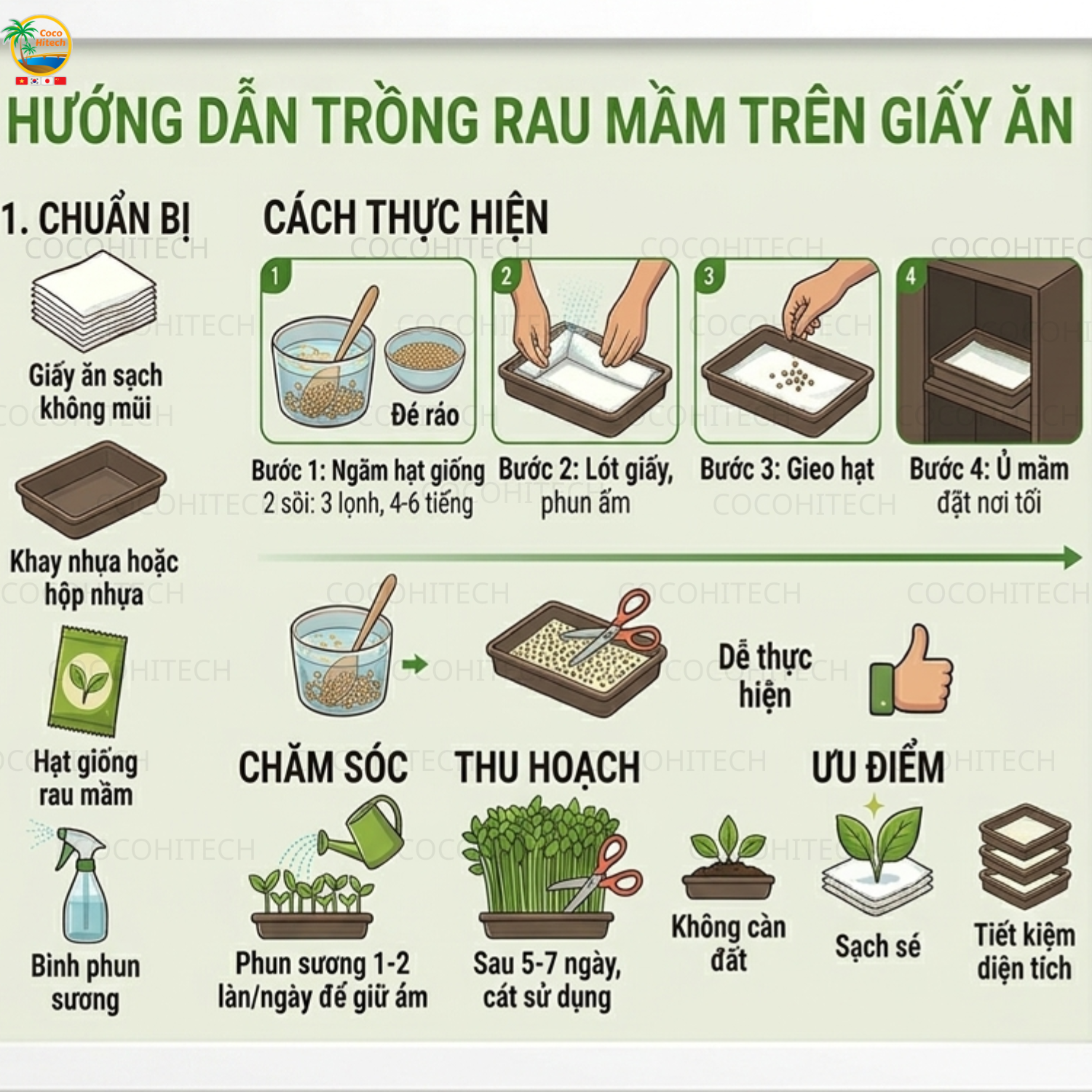 Trồng rau mầm trên giấy ăn