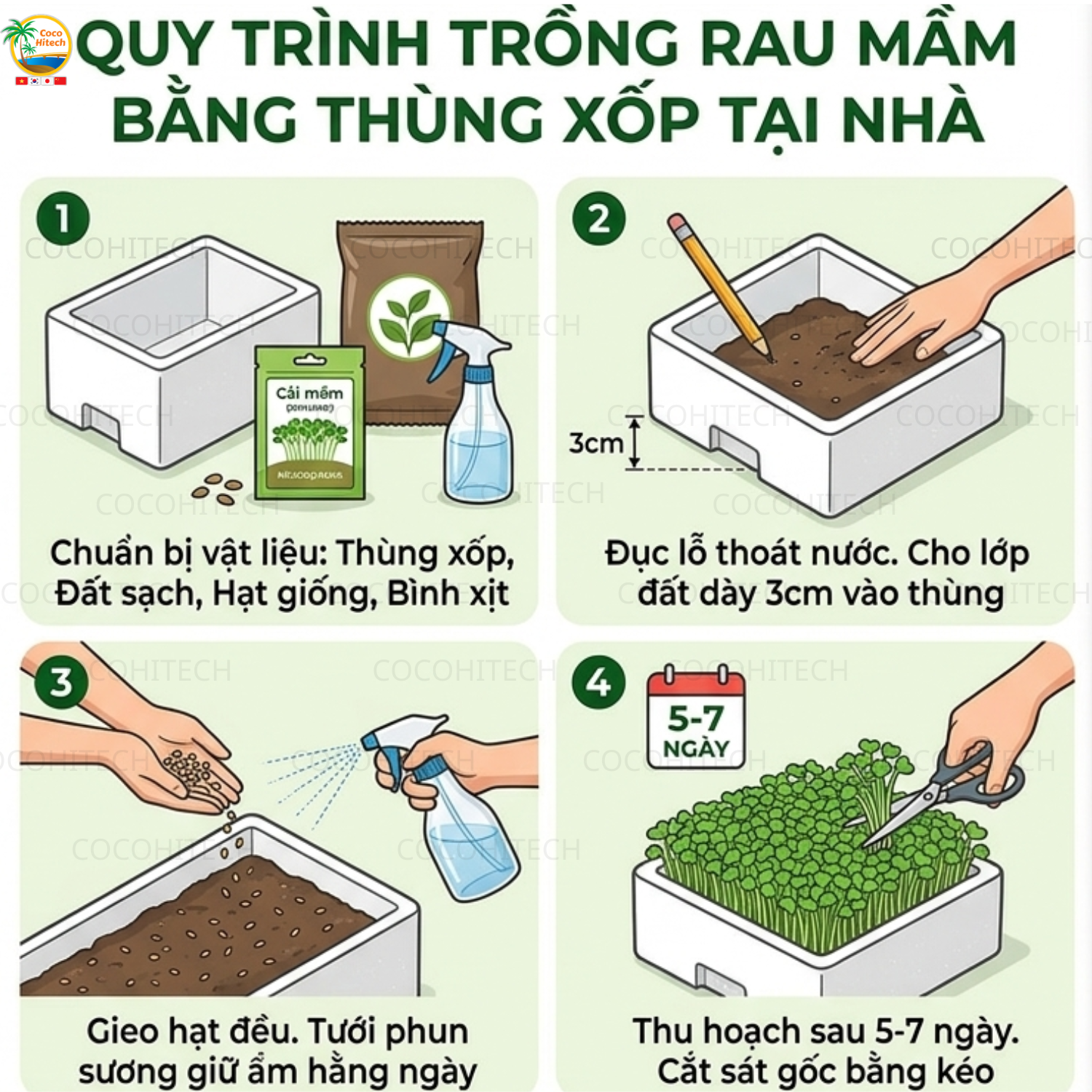 Cách trồng rau mầm bằng thùng xốp