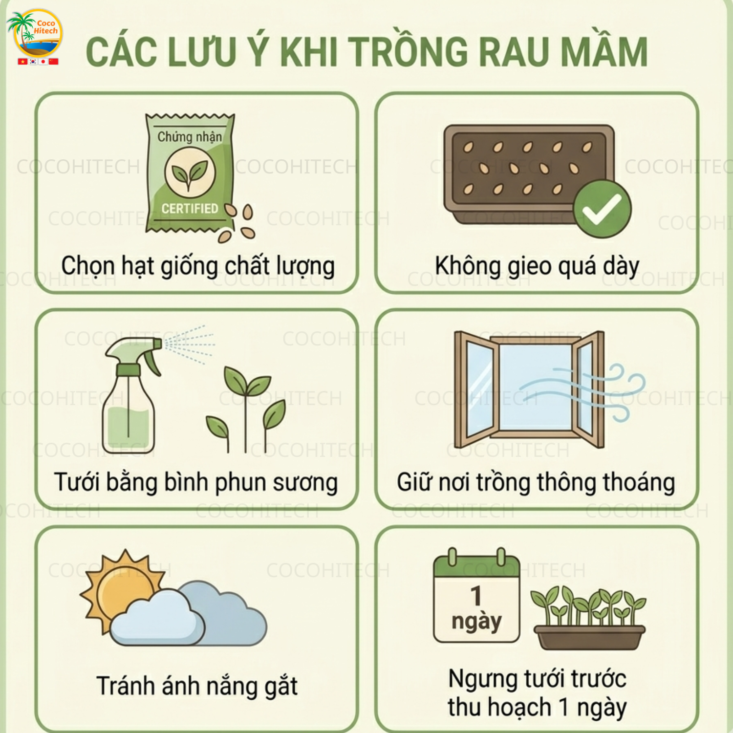 Kinh nghiệm giúp rau mầm phát triển tốt
